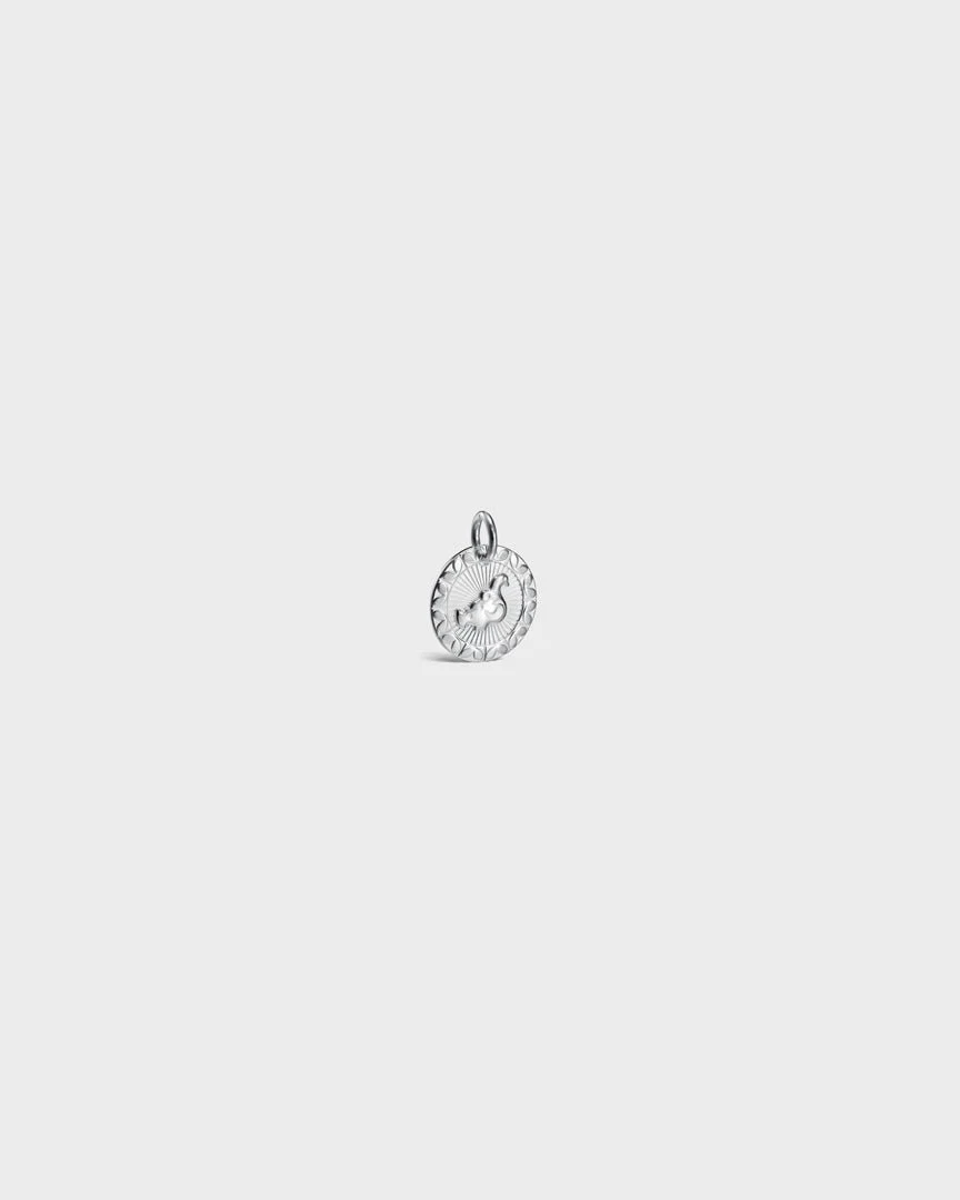 Amuletti-pikkuhela Taikalintu hopea